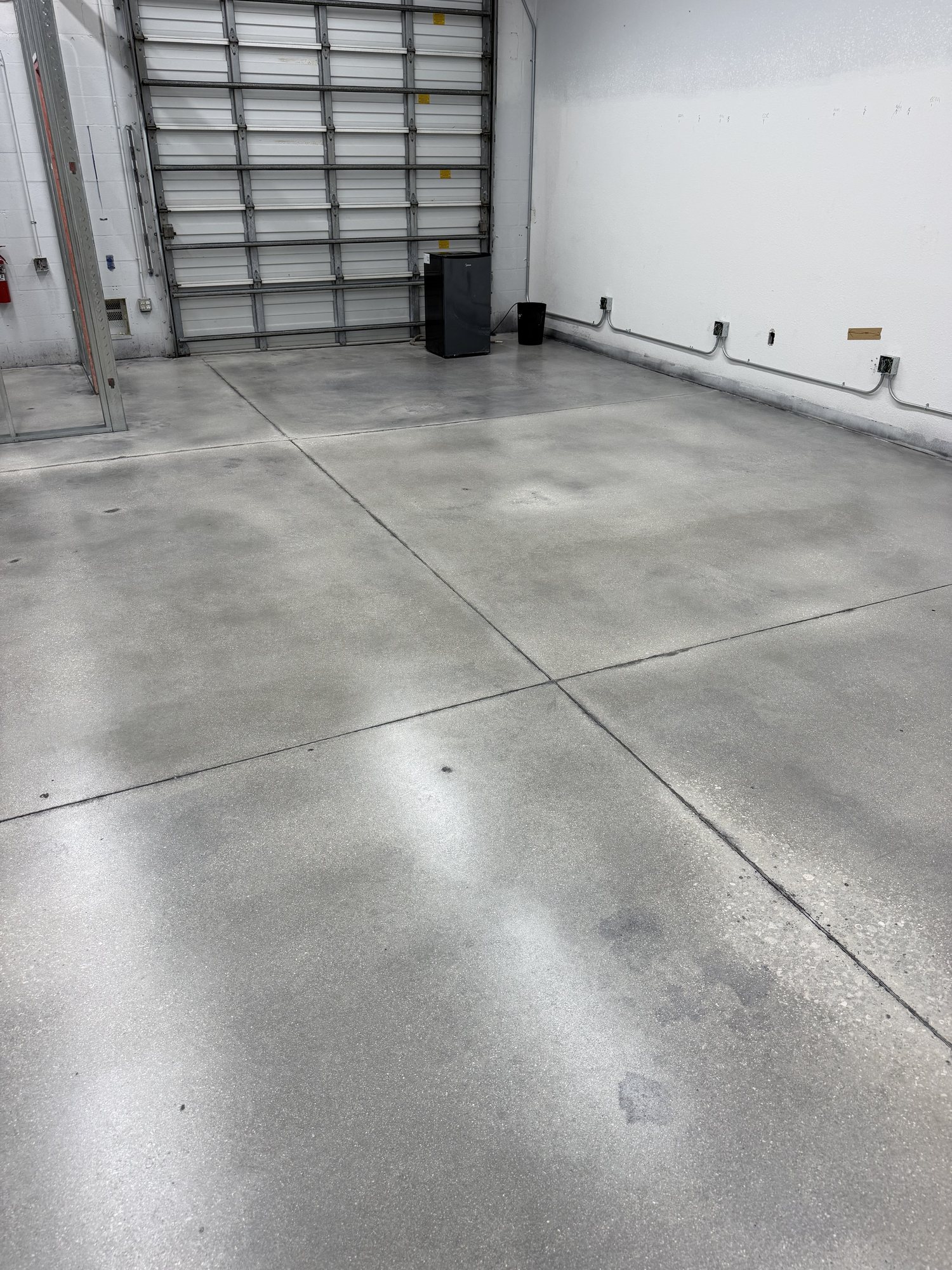 Polished concrete slab running to a roll-up door in a commercial bay with exposed steel trusses
